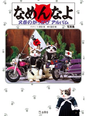 cover image of なめんなよ　又吉のかっとびアルバム　写真集